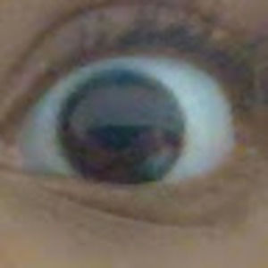 Meet your Posher, Germany